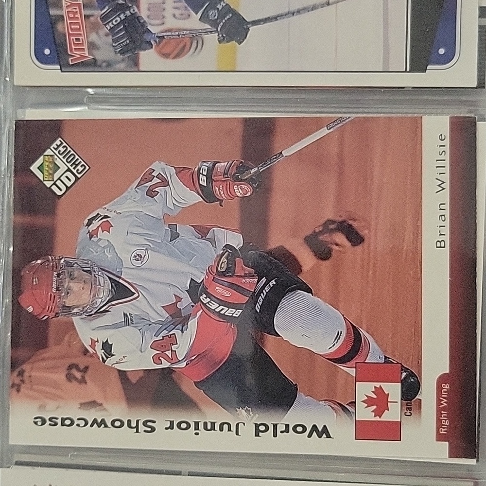Hockey Card Brian Willsie